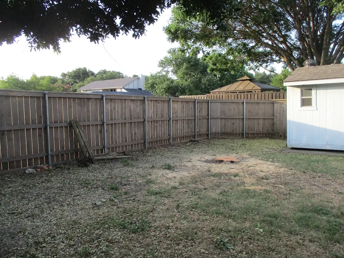 Cleared yard after professional tree removal in Fort Myer